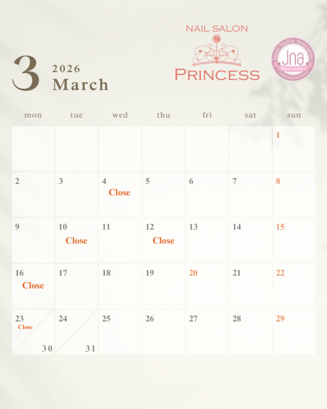 つくばみらい市ネイルサロン みらい平ネイルサロン ネイルサロンプリンセス