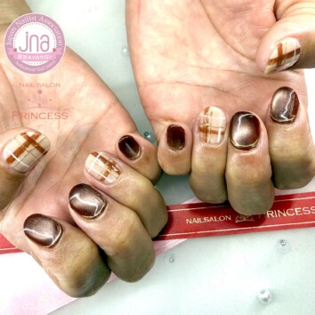 みらい平ネイルサロン　秋ネイル　チェックネイル　マグネットネイル　ネイルサロンプリンセス