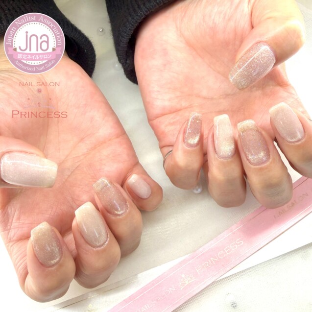 みらい平ネイルサロン マグネットネイル ネイルサロンプリンセス
