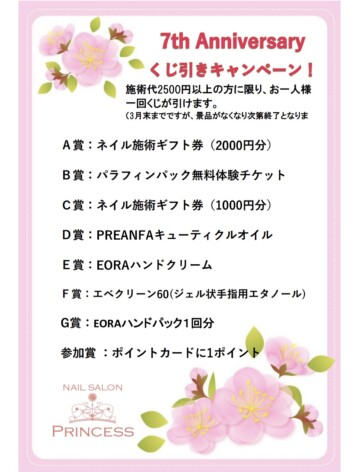 みらい平　ネイルサロンプリンセス