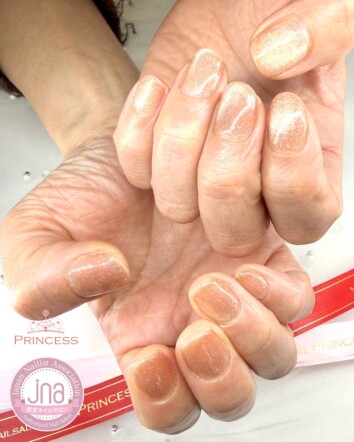 みらい平ネイルサロン マグネットネイル フラッシュマグ ネイルサロンプリンセス