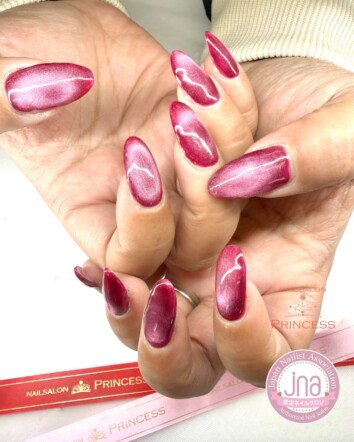 みらい平ネイルサロン マグネットネイル ボルドーネイル ネイルサロンプリンセス
