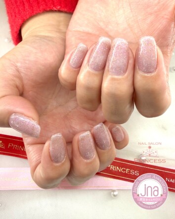 みらい平ネイルサロン　フラッシュマグネット　ワンカラーネイル　ネイルサロンプリンセス