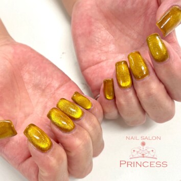 つくばみらい市　マグネットネイル　イエローブラウンネイル　ネイルサロンプリンセス