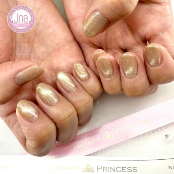 つくばみらい市 マグネットネイル ワンカラーネイル ネイルサロンプリンセス