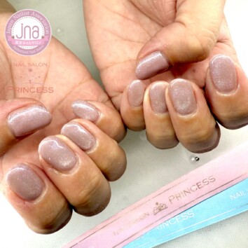 みらい平　マグネットネイル　ワンカラーネイル　ネイルサロンプリンセス