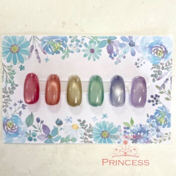 みらい平　つくばみらい市　マグネットネイル　シルキーマグ　ネイルサロンプリンセス